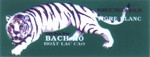 BACH HO WHITE TIGER BALM TIGRE BLANC CAO XOA BOP HOAT LAC CAO