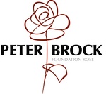PETER BROCK FOUNDATION ROSE