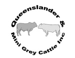QUEENSLANDER & MINI GREY CATTLE INC