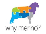 WHY MERINO?