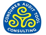 CONSULTING CONSUMER AUDIT TOOL