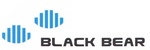 BLACK BEAR INVESTMENT GROUP