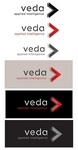 VEDA APPLIED INTELLIGENCE
