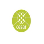 CESAR CONSULTANTS