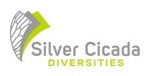 SILVER CICADA DIVERSITIES