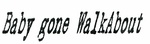 BABY GONE WALKABOUT