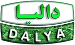 DALYA