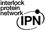 IPN INTERLOCK PROTEIN NETWORK