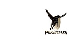 PEGASUS Y L J