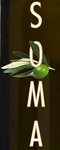 SOMA