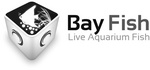 BAY FISH LIVE AQUARIUM FISH