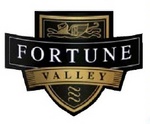 FORTUNE VALLEY