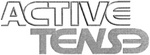ACTIVE TENSE