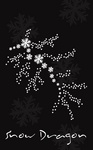 SNOW DRAGON