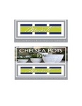 MOSARTE DESIGNER POTS & ALFRESCO FURNITURE CHELSEA POTS BY MOSARTE