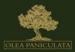 OLEA PANICULATA