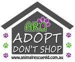 ARQ ADOPT DON'T SHOP WWW.ANIMALRESCUEQLD.COM.AU