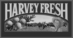 HARVEY FRESH