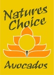 NATURES CHOICE AVOCADOS