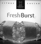 WILD HIBISCUS FLOWER CO CITRUS CAVIAR FRESH BURST