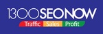 1300SEONOW TRAFFIC SALES PROFIT