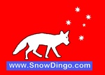 WWW.SNOWDINGO.COM