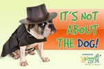 IT'S NOT ABOUT THE DOG! PRESENTED BY: ZIGGY'S T.L.C FOR A HAPPY DOG + HEALTHY YOU Z T.L.C
