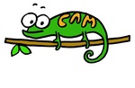 CAM