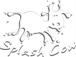 SPLASH COW