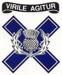 VIRILE AGITUR X