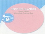 SECTION BLANKET LABOR & DELIVERY BIORESORBABLE PROTECTIVE SHEET L&D