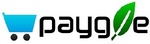 PAYG E