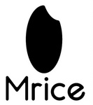 MRICE