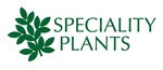 SPECIALITY PLANTS