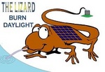 THE LIZARD BURN DAYLIGHT