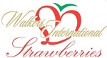 WALKERS INTERNATIONAL STRAWBERRIES