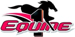 1 EQUINE