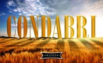 CONDABRI GRAIN FED PREMIUM QUALITY AUSTRALIAN BEEF