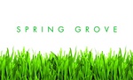 SPRING GROVE