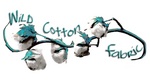 WILD COTTON FABRIC