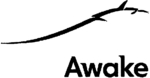AWAKE