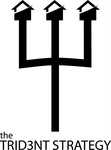 THE TRID3NT STRATEGY