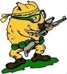 COMBAT WOMBAT
