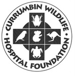 CURRUMBIN WILDLIFE HOSPITAL FOUNDATION