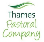 THAMES PASTORAL COMPANY