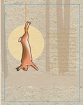 HARE [HAIR] GRACEFUL AND MYSTERIOUS, THE HARE IS AT HOME ON THE ICEFIELDS OF THE ARCTIC OR THE PADDOCKS OF AUSTRALIA. TEARING ACROSS GRASSLAND WITH LONG BLACK-TIPPED EARS AND POWERFUL HIND LEGS, THE HARE IS SIMILAR TO, YET GREATLY DIFFERENT FROM HER RABBI