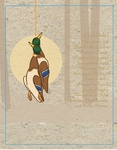DUCK [DUHK] CHARISMATIC AND CHEERFUL, THE DUCK IS FOUND ON PONDS, RIVERS AND ESTUARIES EVERYWHERE EXCEPT ANTARTICA. WITH A WATERPROOF JACKET OF FEATHERS AND A PASSION FOR TRAVEL DUCKS MIGRATE THOUSANDS OF MILES BETWEEN THEIR SUMMER AND WINTER HOMES
