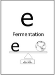 E FERMENTATION E E = 2.71828 NATURES NUMBER