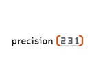 PRECISION (231 DENTURES.REDEFINED)