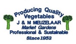 PRODUCING QUALITY VEGETABLES J & M MEUZELAAR MARKET GARDENS PROFESSIONAL & SUSTAINABLE SINCE 1952